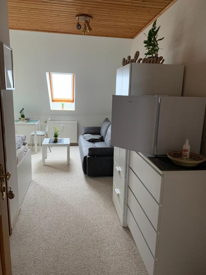 Apartment Am Goethe Park Єна Екстер'єр фото