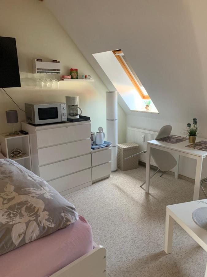 Apartment Am Goethe Park Єна Екстер'єр фото
